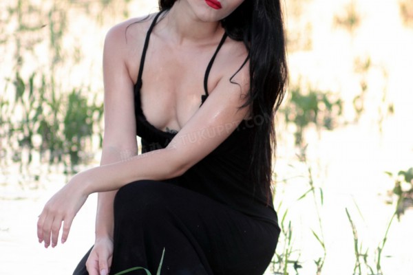 杭州赏鱼品茗,这几点不容错过! 杭州赏鱼品茗,这几点不容错过!